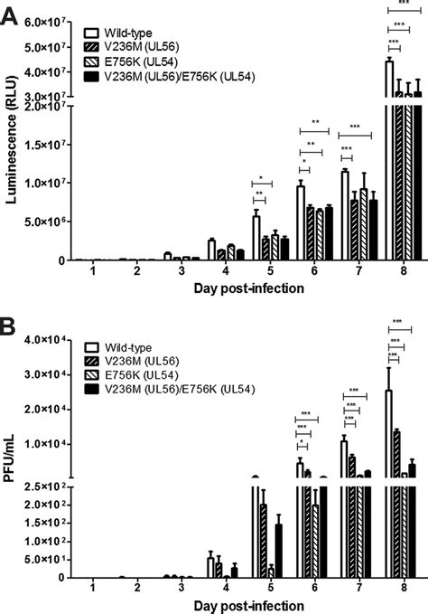 Replicative Capacity Of Wild Type And Recombinant Viruses Harboring The