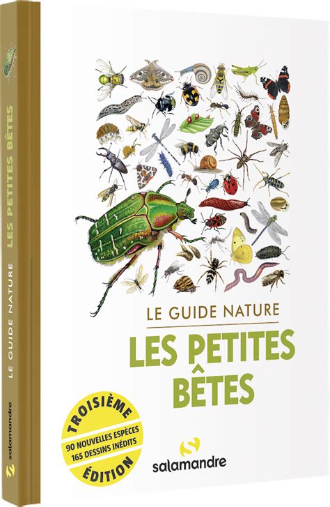 Le guide nature Les petites bêtes 3e édition Boutique Salamandre