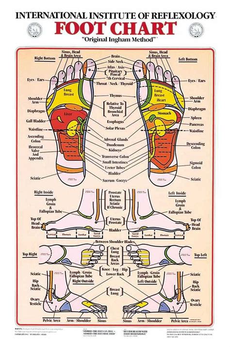 Fertility Massage Self Massage Techniques For Uterus Andovary Reflexology Foot Chart Foot