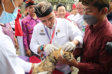 Hari Rabies Sedunia Momentum Kendalikan Penyakit Berbahaya Pilar Id