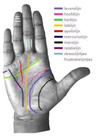 Hoe Kan Je Hand Lezen Chakra Wil Kleurenanalyse Jouwweb Nl