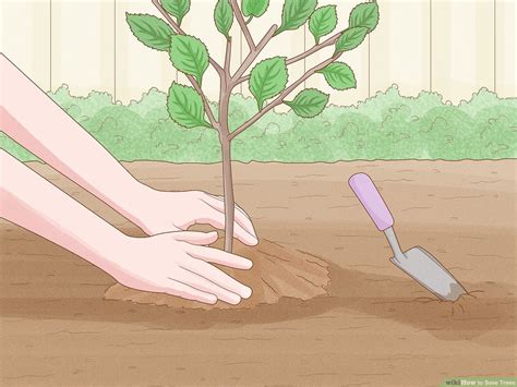 How To Make A Poster On Save Trees