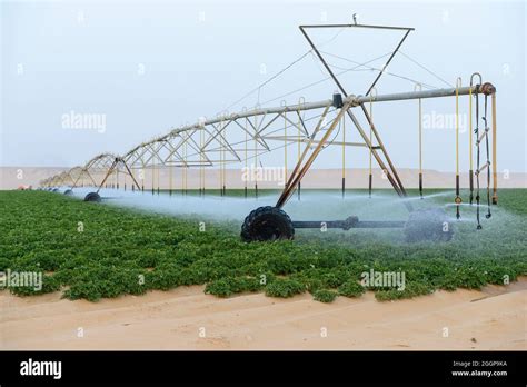 Central Pivot Irrigation In Egypt Hi Res Stock Photography And Images