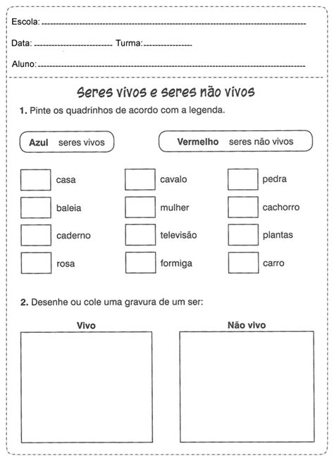 Atividades De Estudo Do Meio Para O Ano Ciclo Educa O Online