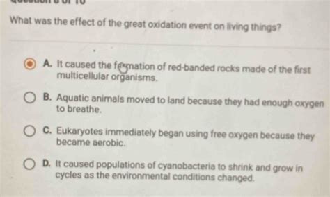 What Was The Effect Of The Great Oxidation Event On Living Things A