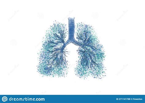 Bronchial Tree