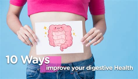 Digestive Health Digestive Health Tips Supplements Vitamins