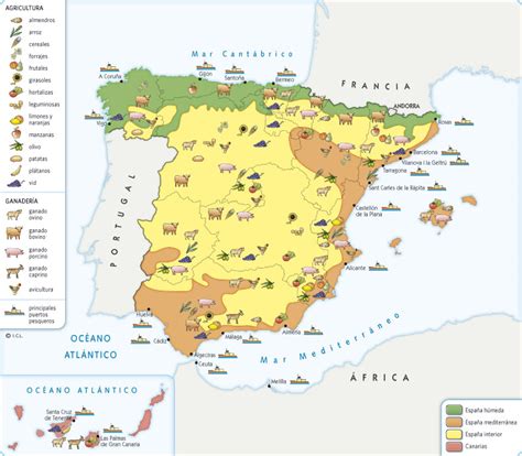 Territorio Sociales El Sector Primario En Espa A