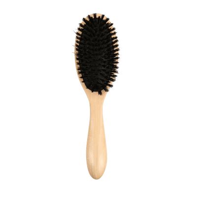 Comment Bien Choisir Sa Brosse Bo Paris