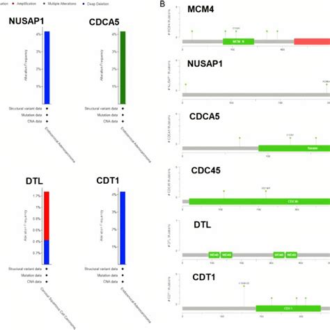 Genomic Change Analysis Of Identified Hub Genes Across CESC Samples