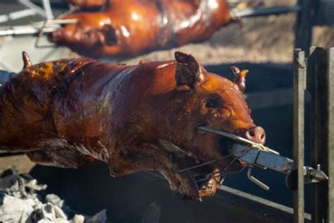 Receta De Cochinillo Asado Al Horno Cochinillo Segoviano