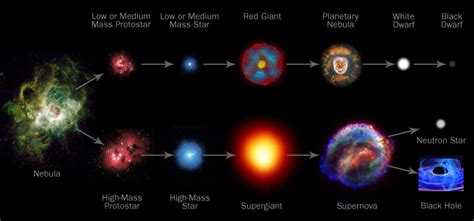 [DIAGRAM] Diagram Of A Low Mass Stars Life - MYDIAGRAM.ONLINE