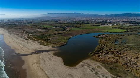 Río Elqui es reconocido como primer humedal urbano de la Región de