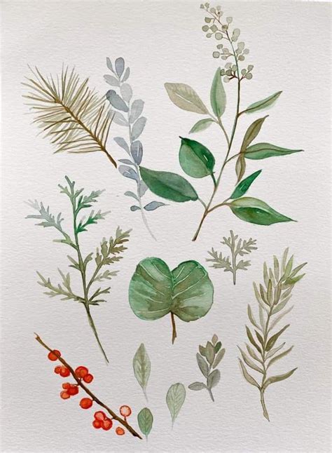 Watercolor Painting Of Leaves And Berries On White Paper