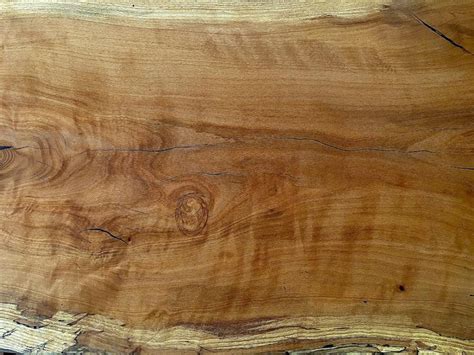 Beech Wood Makers Woodshop