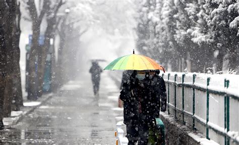 今年最大范围雨雪天气来袭，多地迎来立春之后首场降雪 快看 澎湃新闻 The Paper