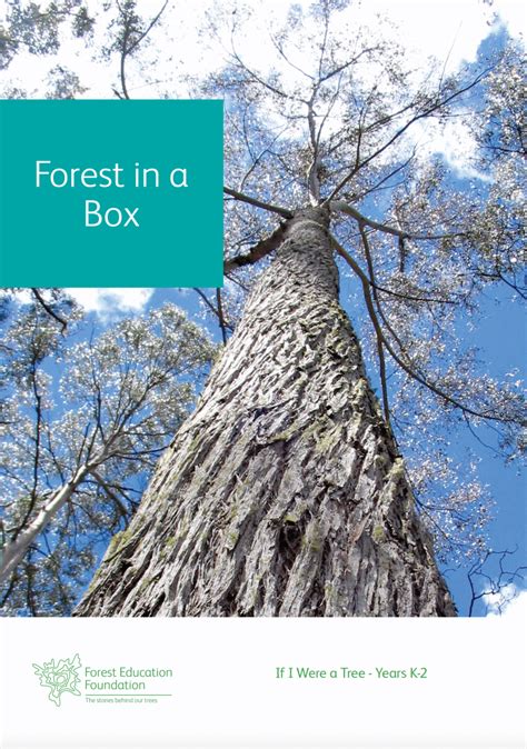 If I Were a Tree | Forest Education Foundation 