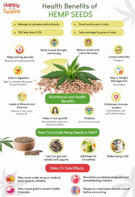 Top Benefits Of Eating Hemp Seeds Benefits Uses And Side Effects