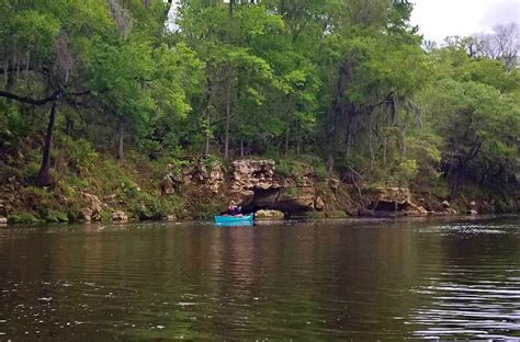 Suwannee River State Park: The Practical Guide