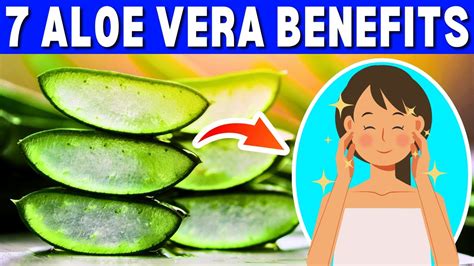 7 Benefits Of Aloe Vera Benefits Of Aloe Vera For Skin And Hair Youtube