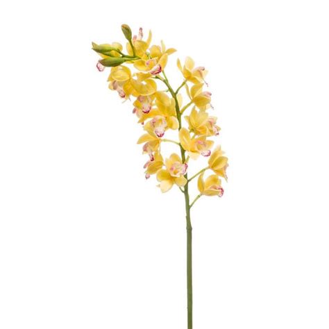 Acheter des Tige d orchidée Cymbidium en tissu LAIA jaune 75cm