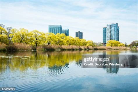 Woodslee Ontario Photos And Premium High Res Pictures Getty Images