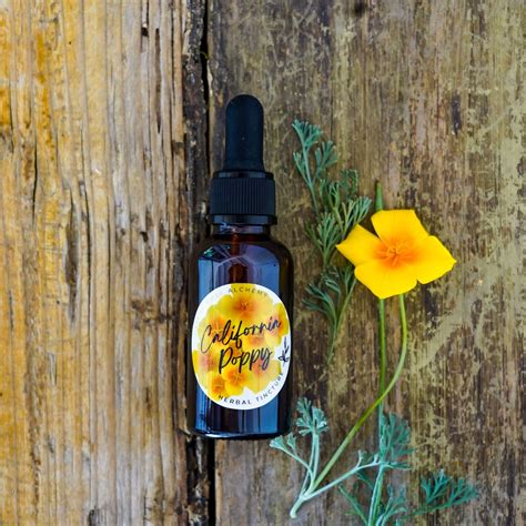 California Poppy Tincture Fresh Etsy