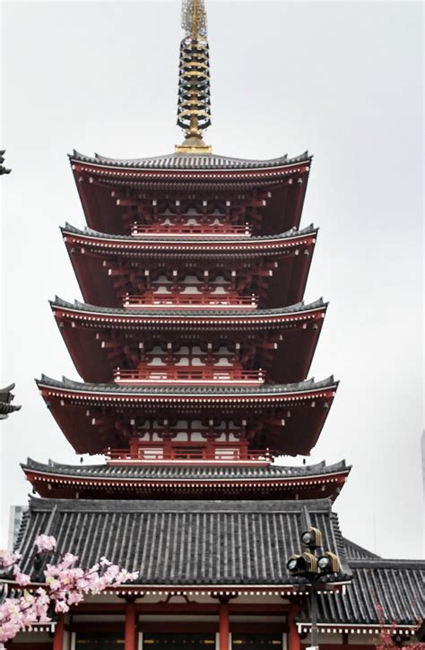 Japanese Five Story Pagoda