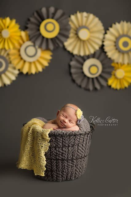 Newborn Felted Wool Butterfly Digital Backdrop Psd With Layers Artofit