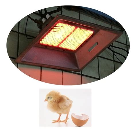 Natural Gas Lpg Poultry Chicken Brooder Heaters Aluminum Poultry House