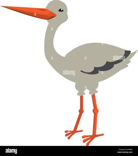 Stork Bird Cartoon Stock Vector Image And Art Alamy