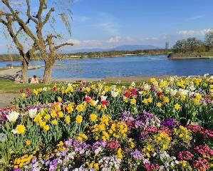 Une Balade Autour Du Lac Divonne OnVaSortir Lausanne