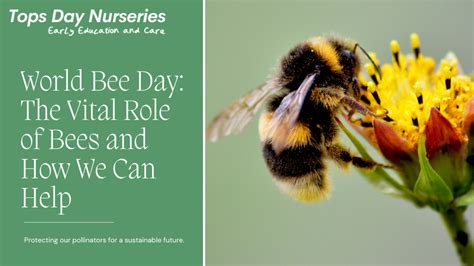 World Bee Day The Vital Role Of Bees And How We Can Help Tops Day