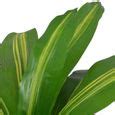 Vidaxl Plante Artificielle Avec Pot Dracaena Cm Vert Cdiscount Maison