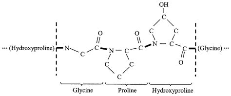 Collagen Amino Acid Sequence