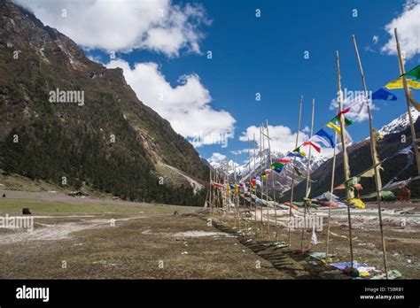 Prayer Flags At Yumthang Valley Sikkim India Stock Photo Alamy