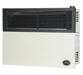 Gas Space Heaters Ashley Direct Vent 17000 BTU Propane Wall Heater