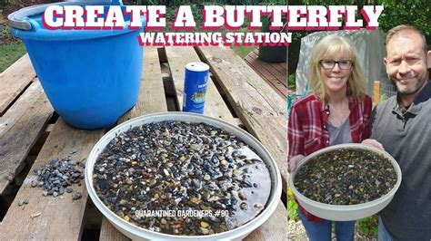 🦋 Create A Butterfly Watering Station Qg Day 80 🦋 Youtube