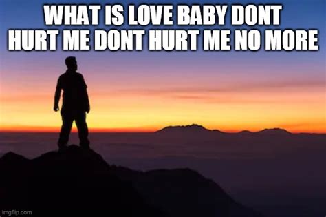 What Is Love Baby Dont Hurt Me Quote