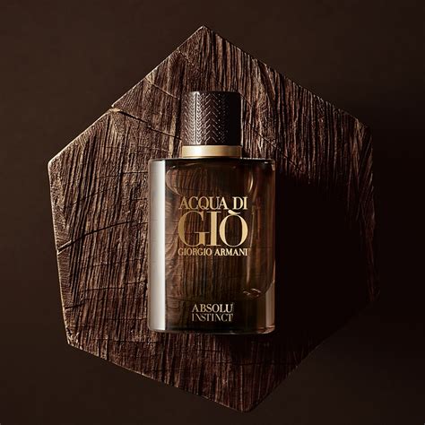 Giorgio Armani Acqua di Giò Absolu Instinct Eau de Parfum webprofumi