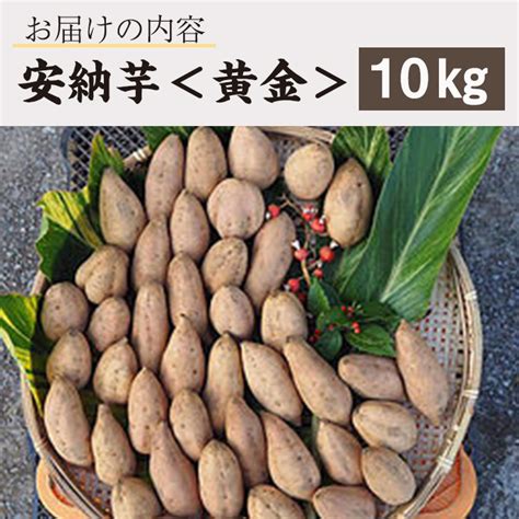 【楽天市場】【ふるさと納税】種子島産 安納芋＜黄金＞10kg国産 安納芋 黄金 こがね コガネ 種子島 芋 イモ いも さつまいも さつま