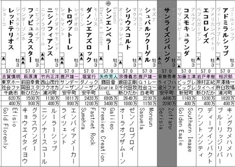 弥生賞ディープインパクト記念 2024 出走馬全頭分析 ソフトさんの競馬ヨソー！予想動画ブログ