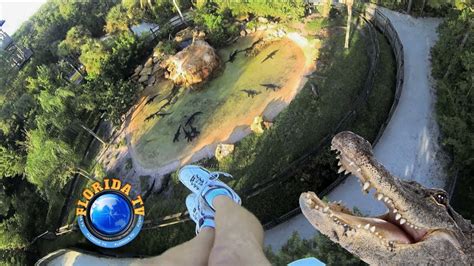 Gatorland Zipline Screamin Gator In Orlando, Florida - YouTube