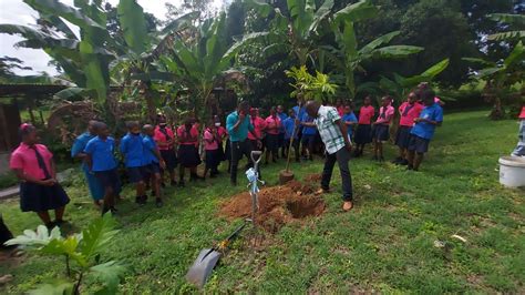 Assemblyman Pastor Terance Baynes Plants Breadfruit Tree Tobago