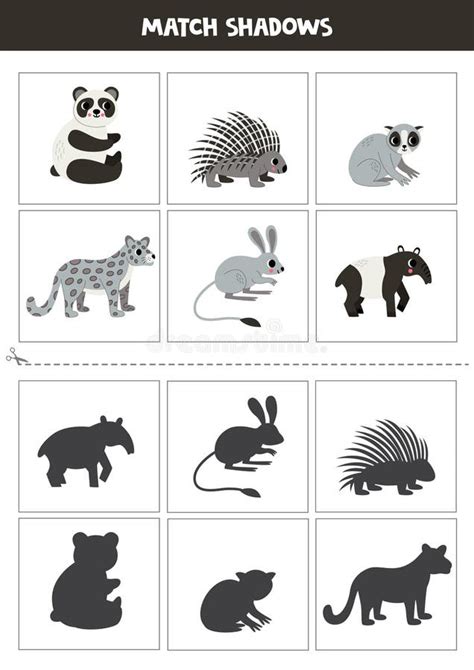 Find Shadows Of Cute Asian Animals Cards For Kids Stock Illustration