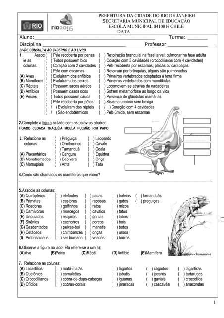 Avaliação de Ciência Helena Andrade