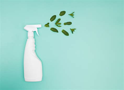 PRODUCTOS DE LIMPIEZA ECOLÓGICOS PARA INICIAR LA LIMPIEZA DE PRIMAVERA