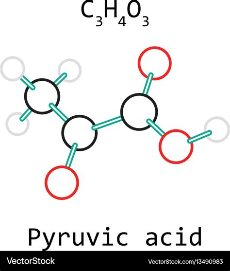 Molecule Pyruvic Acid C3h4o3 Royalty Free Vector Image