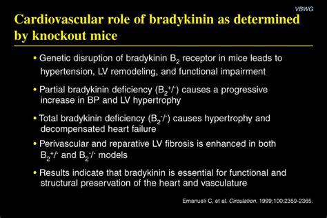 Bradykinin And Angiotensin 1 7 Emerging Allies In Vascular Function