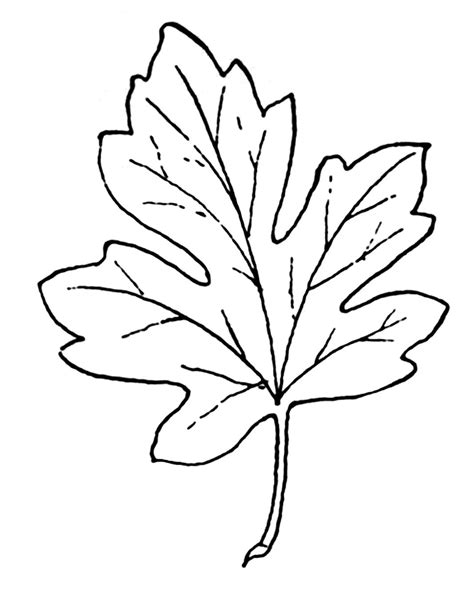 Pile Of Leaves Clip Art Black And White